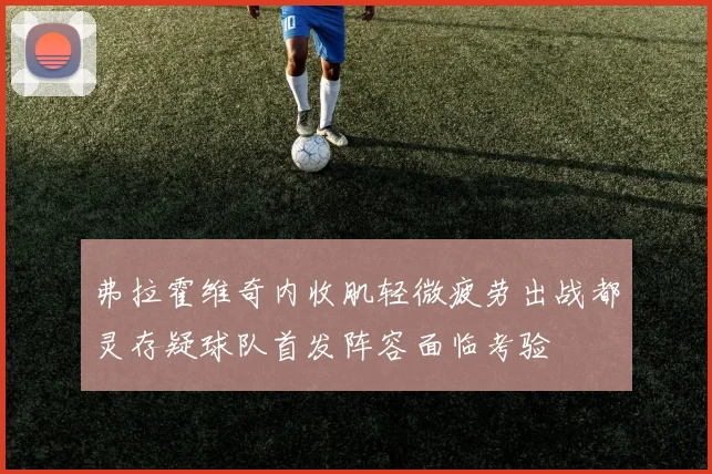 弗拉霍维奇内收肌轻微疲劳出战都灵存疑球队首发阵容面临考验