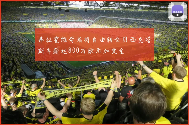 弗拉霍维奇或将自由转会贝西克塔斯年薪达800万欧元加奖金
