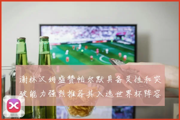 谢林汉姆盛赞帕尔默具备灵性和突破能力强烈推荐其入选世界杯阵容