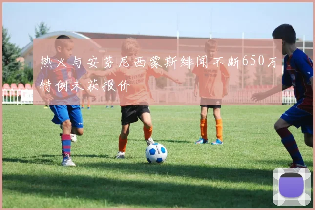 热火与安芬尼西蒙斯绯闻不断650万特例未获报价