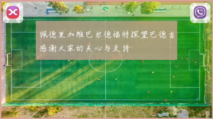 佩德里加维巴尔德福特探望巴德吉感谢大家的关心与支持